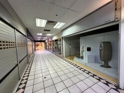 Bukit Timah Plaza / Sherwood Towers (D21), Retail #585396661